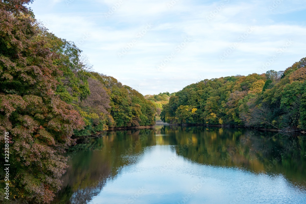 紅葉見頃の湖畔の情景