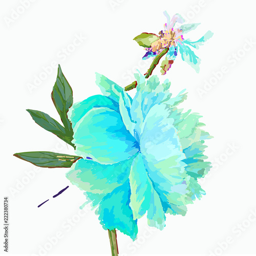 peony flower