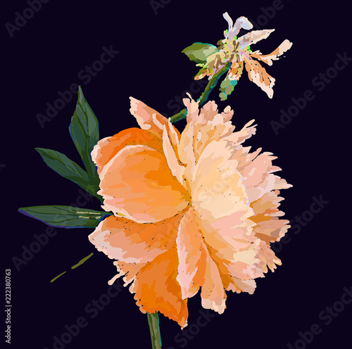 peony flower