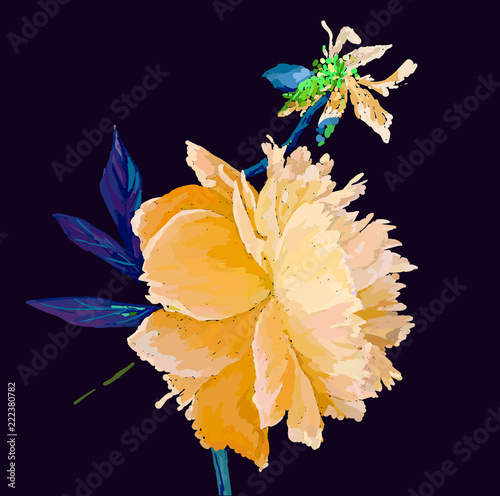 peony flower