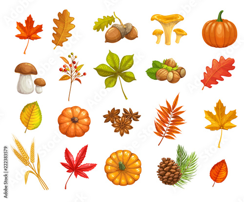 Autumn icons set