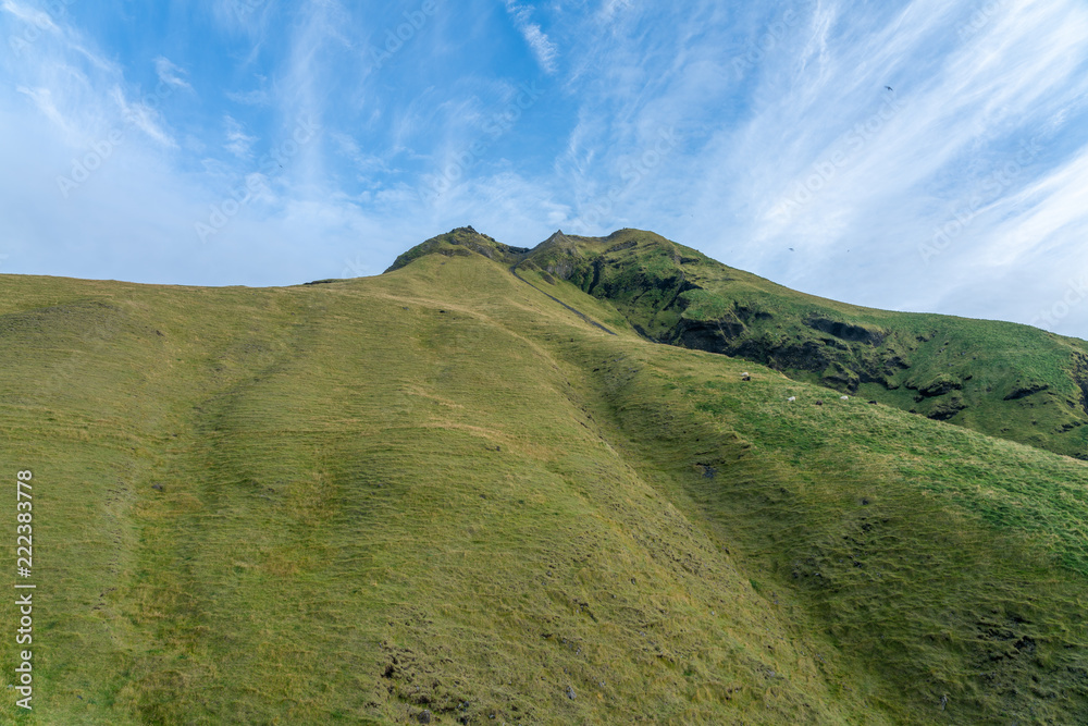 Landscape and nature on the south coast of Iceland