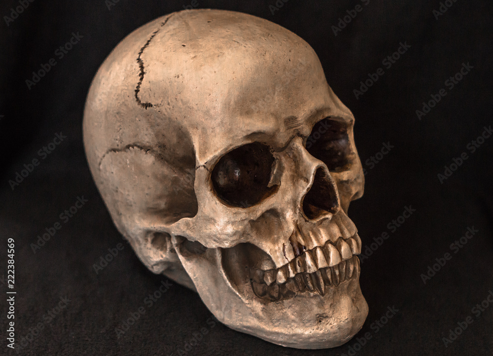 Obraz premium Human Skull on Dark Solid Background