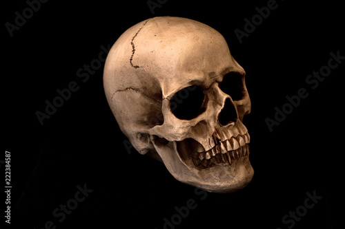 Human Skull on Dark Solid Background