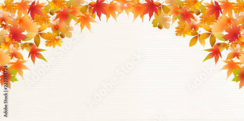 紅葉　もみじ　秋　背景 