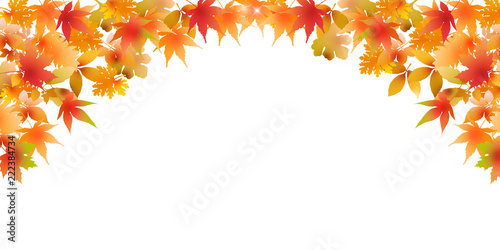 紅葉　もみじ　秋　背景 