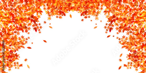 紅葉　もみじ　秋　背景