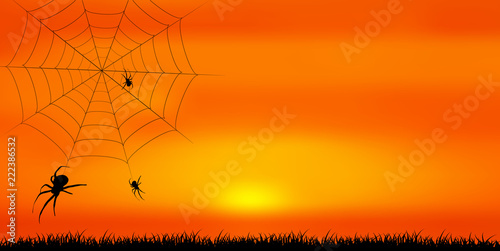 ハロウィン　クモ　秋　背景 
