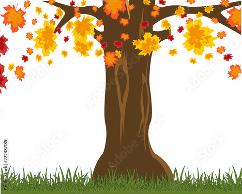 Tree on glade throws .Vector illustration autumn tree