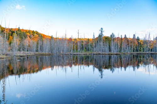 reflection of fall trees in lake