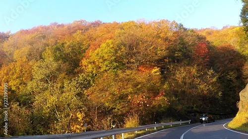 日本の観光地、日光。紅葉の季節のいろは坂