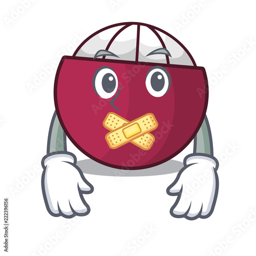 Silent fresh ripe mangosteen isolated on mascot