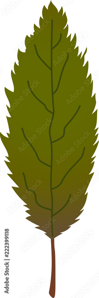 Fototapeta premium Realistic Elegant Autumn leaves