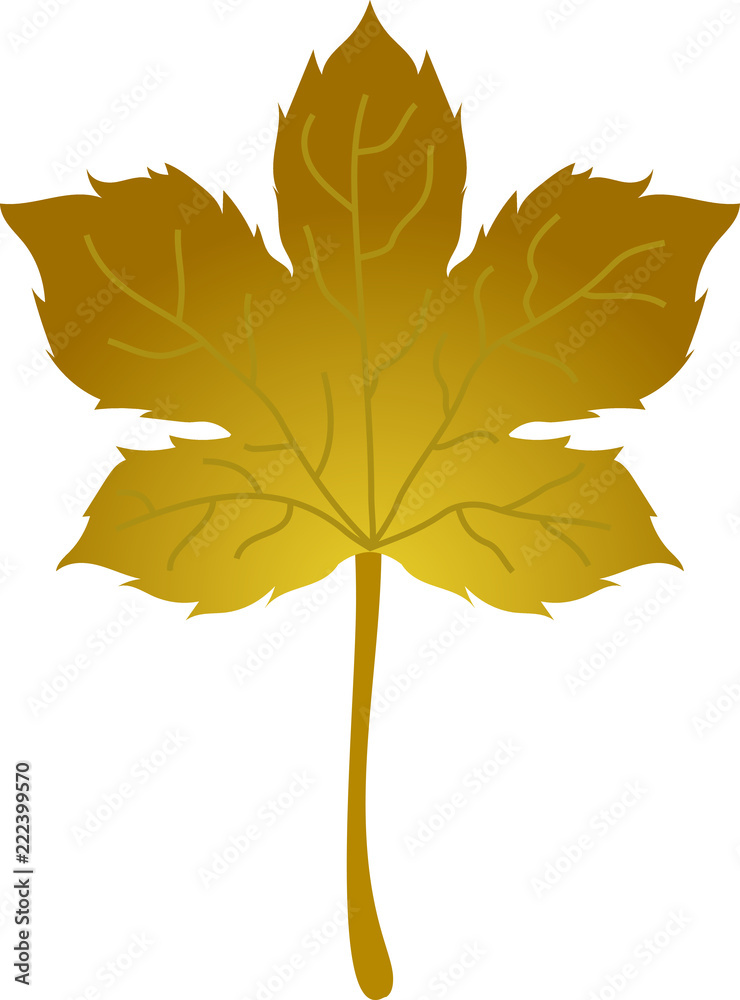 Fototapeta premium Realistic Elegant Autumn leaves