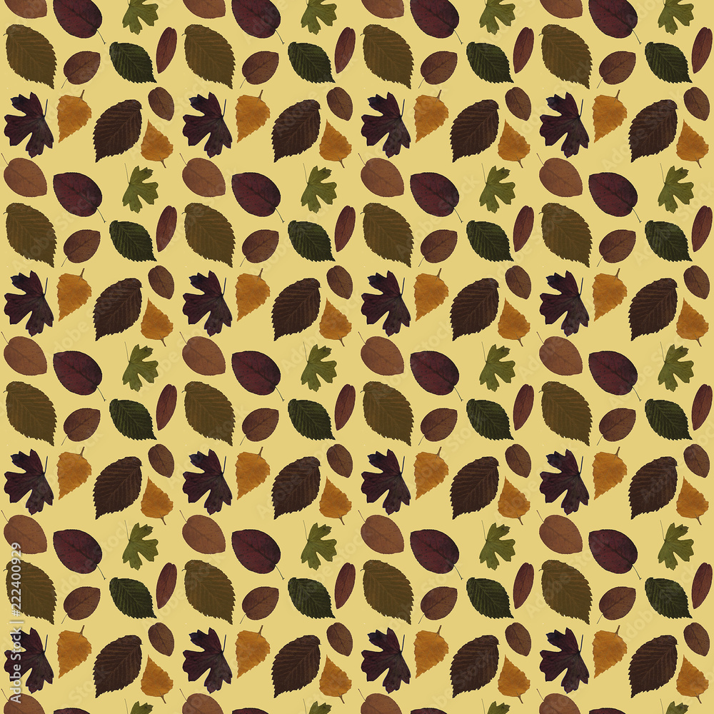 seamless autumn leaves background seamless autumn leaves background