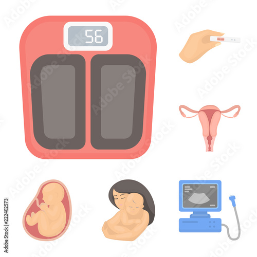 Woman and pregnancy cartoon icons in set collection for design. Gynecology and equipment vector symbol stock web illustration.
