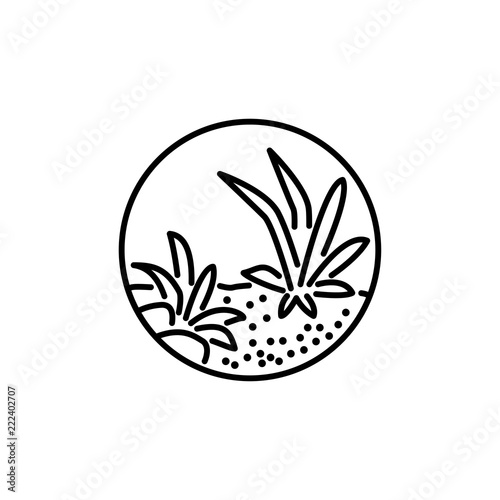 Black & white vector illustration of round terrarium with plants & stones. Decorative succulent home plants in glass container. Line icon. Isolated on white background.