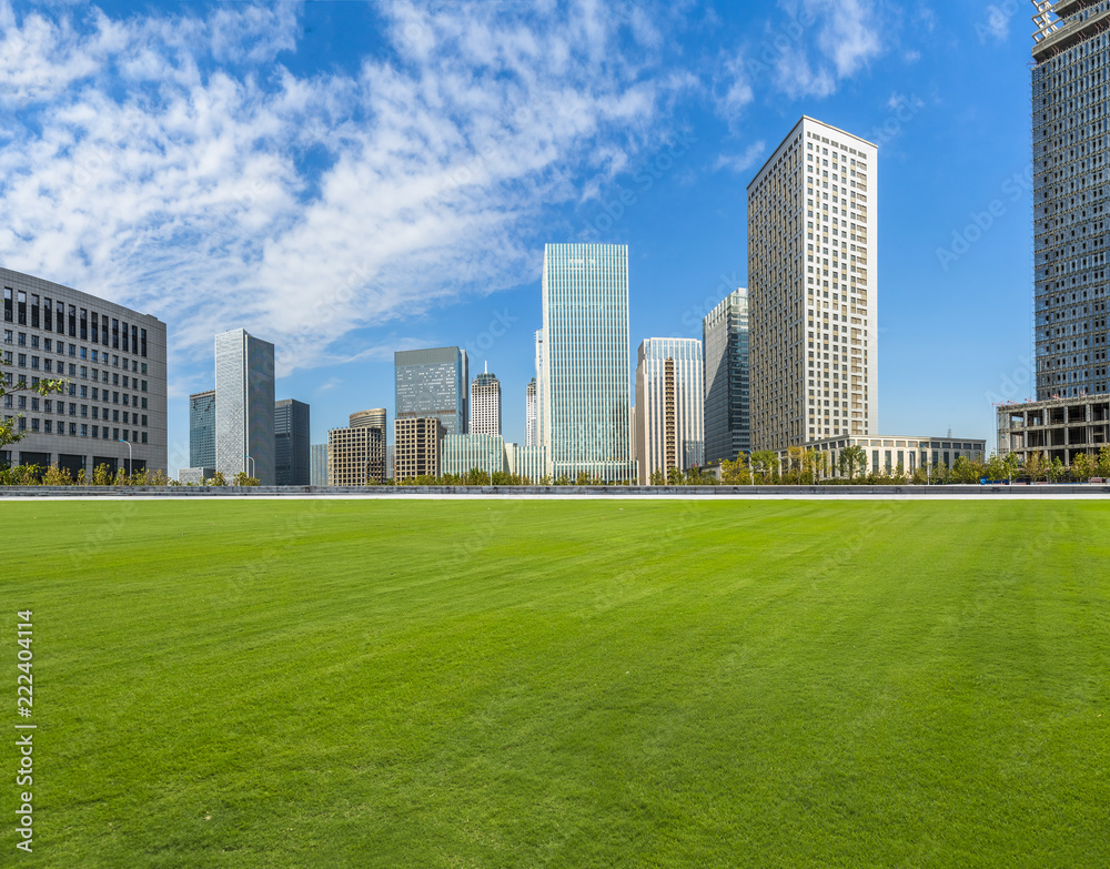 cityscape and skyline of tianjin from meadow in park