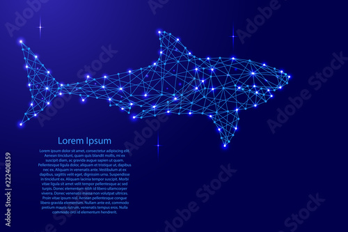 Shark swimming from futuristic polygonal blue lines and glowing stars for banner, poster, greeting card. Vector illustration.