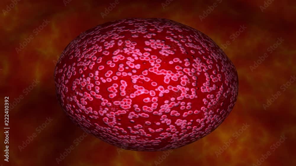 Glowing cells, microbe inside body . 3d animation Glowing cells, microbe inside body . 3d animation