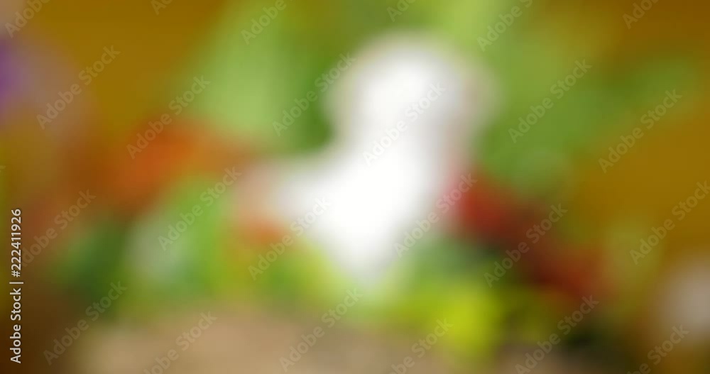 Easter decoration. Yellow Chicken in basket with daffodils and bows. Several baskets. Pan to right. Closeup.