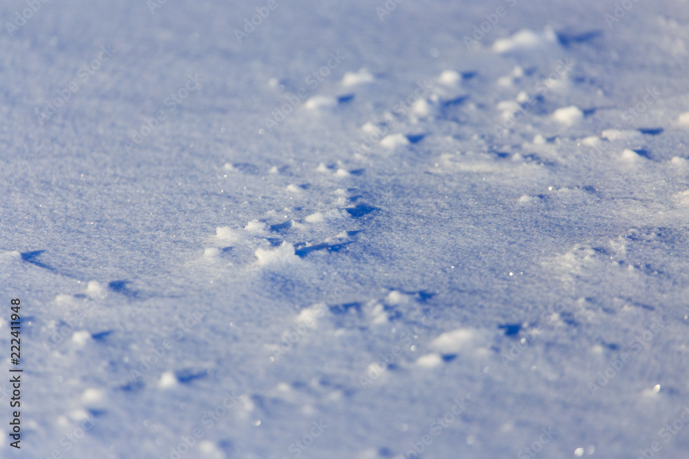 Cold snow on nature in winter as background Cold snow on nature in winter as background