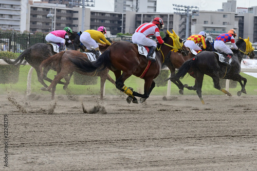 horse race in Japan © Matthewadobe