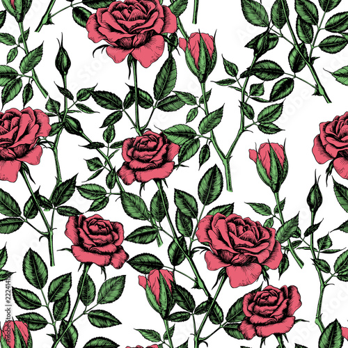 Seamless pattern with hand  drawn roses.