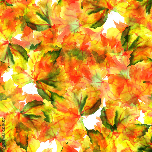 A seamless pattern of watercolour autumn grapevine leaves
