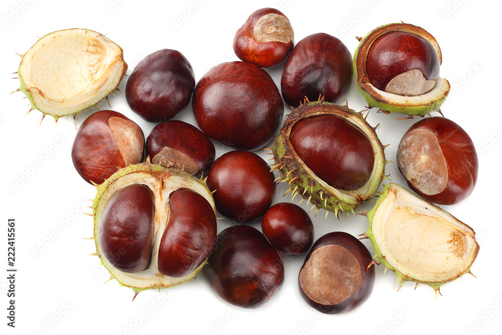 chestnuts isolated on white background. top view chestnuts isolated on white background. top view
