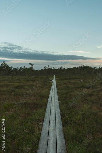 Landscape of a wooden trail in swamp leading forwards. Preserved outdoor territory of   emeri National park in Latvia.