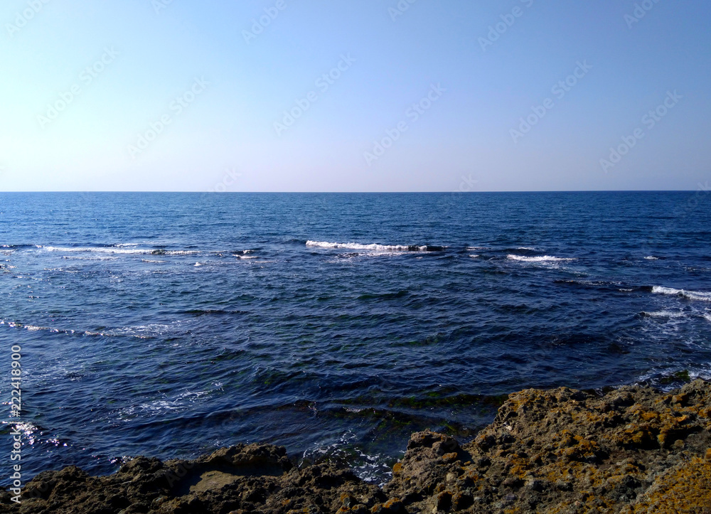 Black sea coast in summer