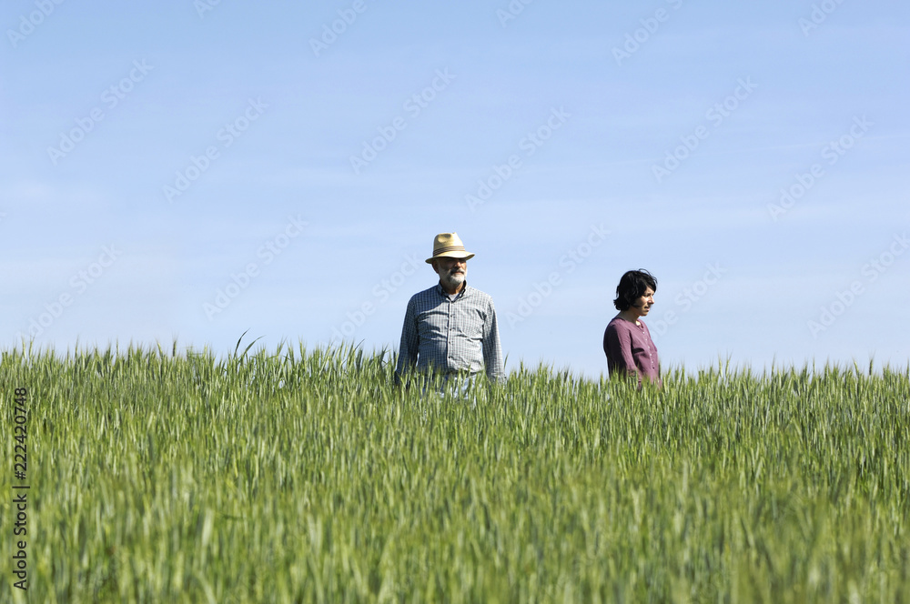 couple farmers on a wheat fileld couple farmers on a wheat fileld