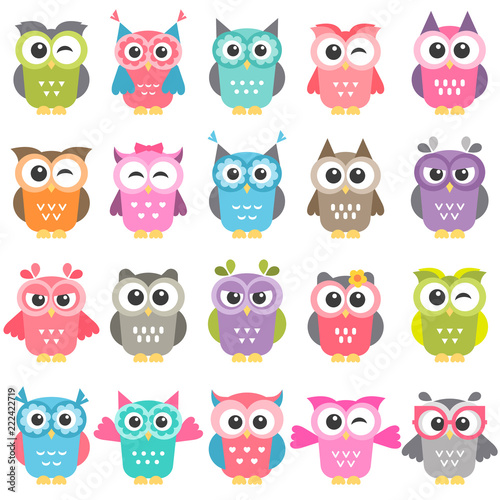 set of colorful owls isolated on white