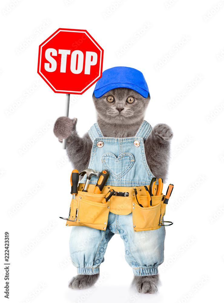 Funny kitten in overalls and blue cap with tool belt showing stop sign.  Isolated on white background Stock Photo | Adobe Stock