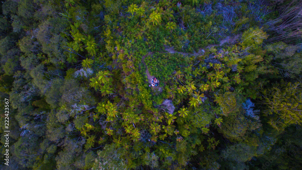 berlins mountain vertical capture into woods in new zealand berlins mountain vertical capture into woods in new zealand