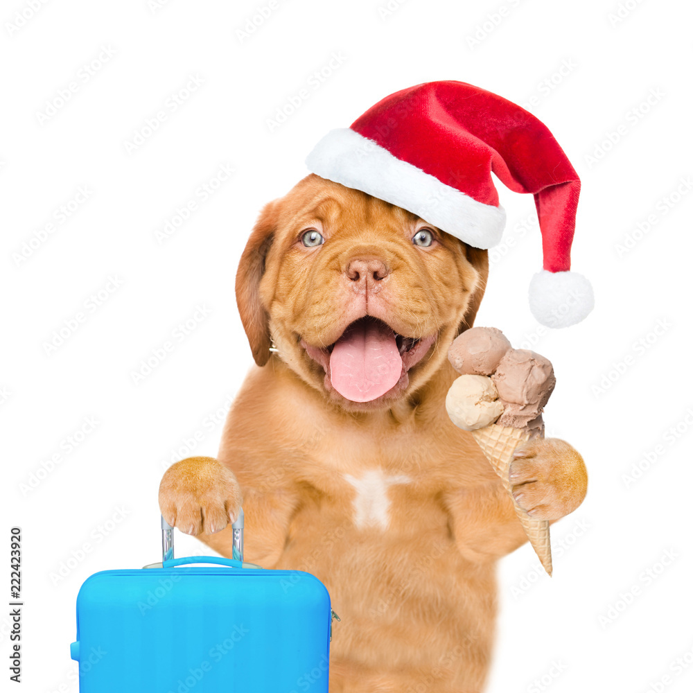 Happy puppy in red christmas hat holds suitcase and ice cream. isolated on white background Happy puppy in red christmas hat holds suitcase and ice cream. isolated on white background