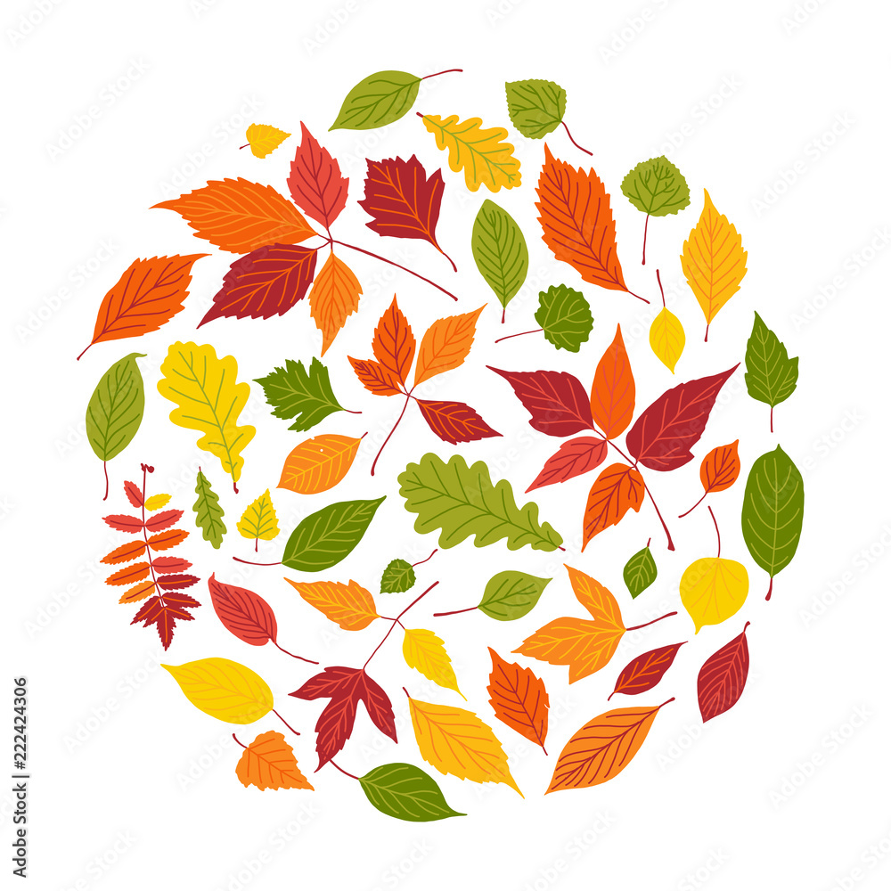 Round frame autumn leaves white background Vector Image