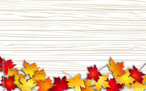 Autumn leaves. Fall colorful maple leaves on wood background. Top view. Vector illustration 