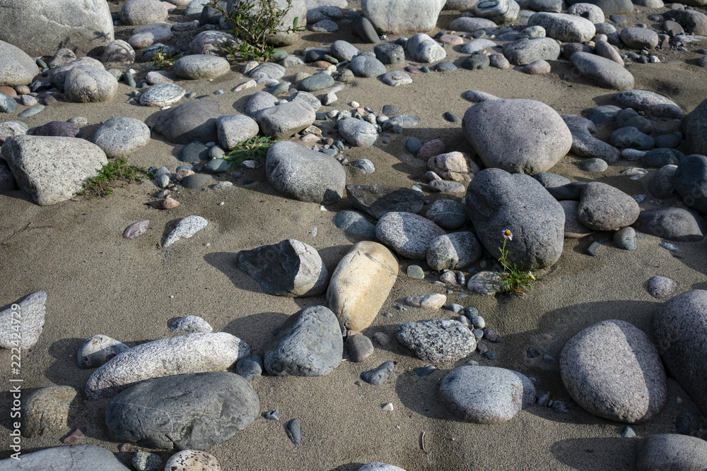Sandy beach with large boulders Sandy beach with large boulders