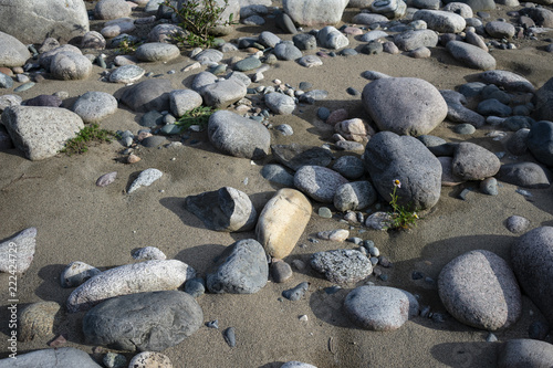 Sandy beach with large boulders © Сергей Главинский