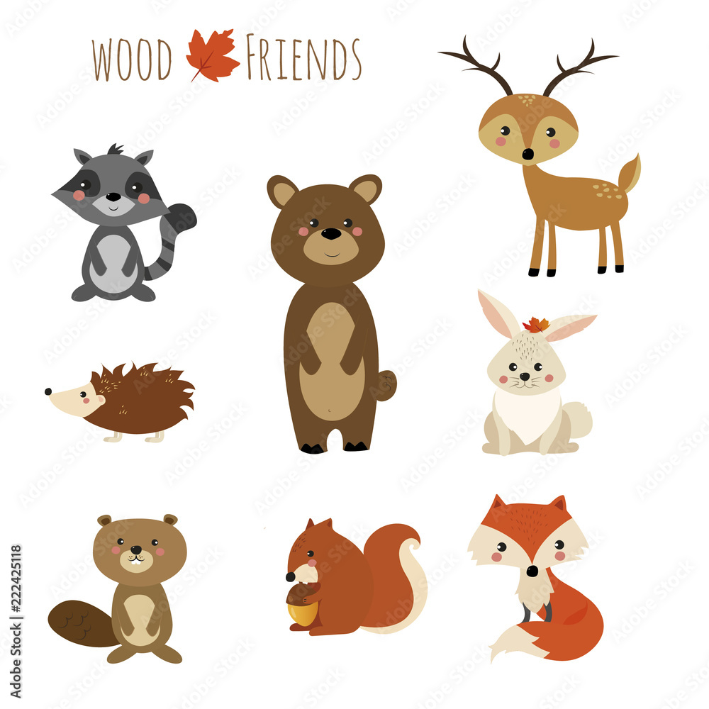 set animali del bosco Stock Illustration | Adobe Stock