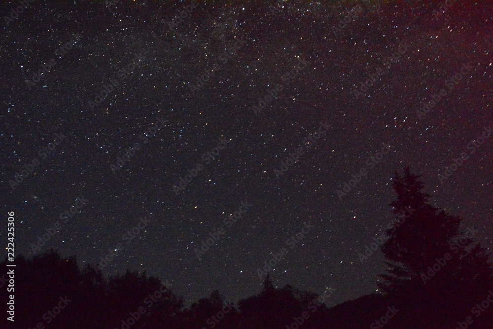 Fototapeta premium sky and the stars