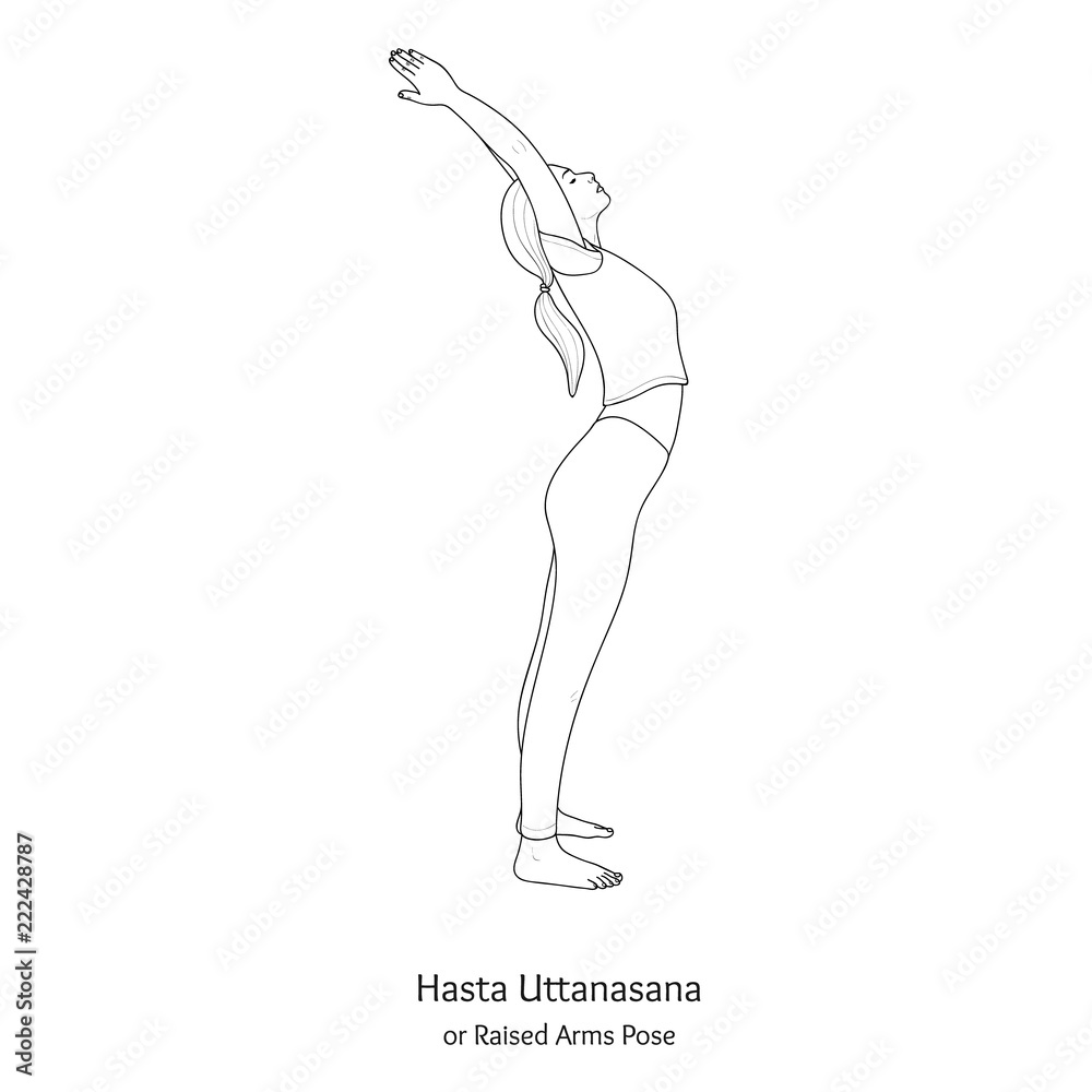 Hasta Uttanasana or Raised Arms Pose. Vector. Hasta Uttanasana or Raised Arms Pose. Vector.