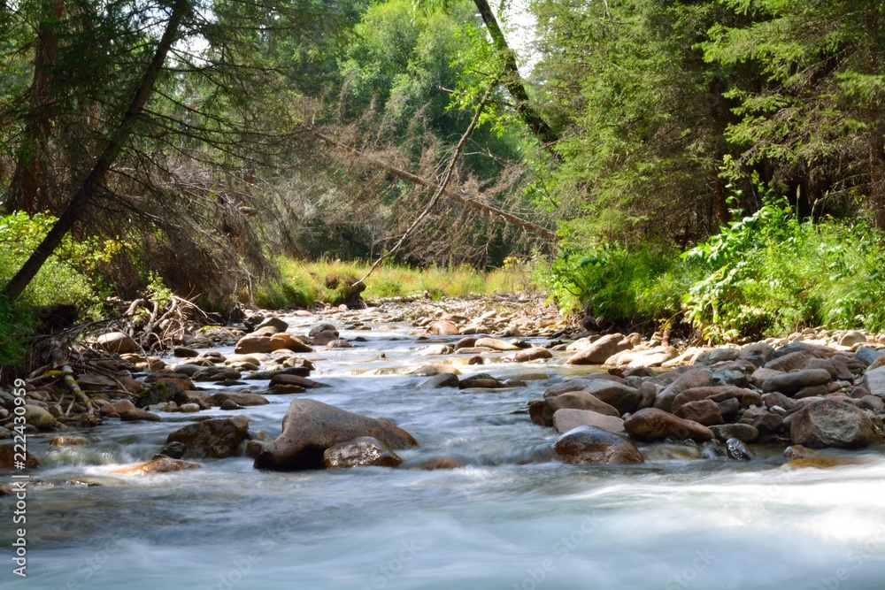 altai rivers and mountains