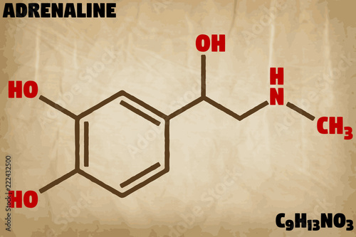 Detailed infographic illustration of the molecule of Adrenaline.