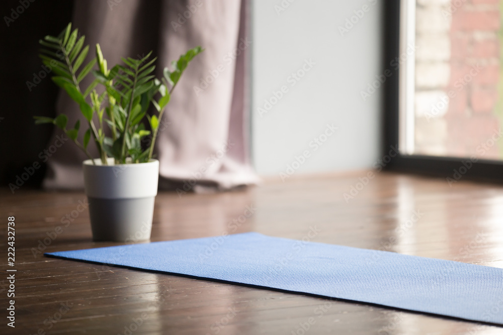 Yoga mat on the floor, blue carpet for practicing yoga in a sport studio,  equipment for working out in a fitness club or at home, modern interior  with green plant decoration Stock