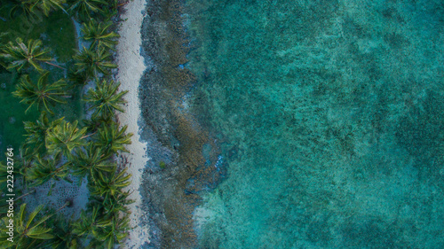 vertical drone shot ocean101 palm trees shore crystal water