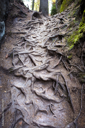 Spectacular Rock City in Adrspach, mountains, national park, Czech Republic