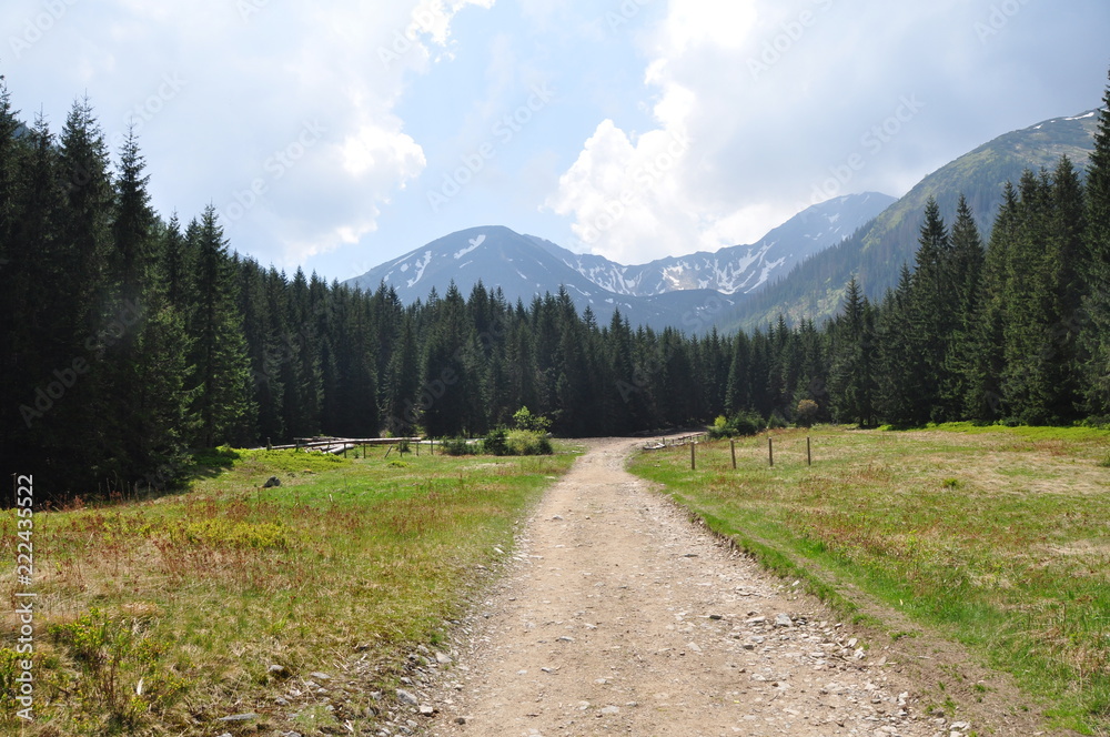 Fototapeta premium road in the mountains